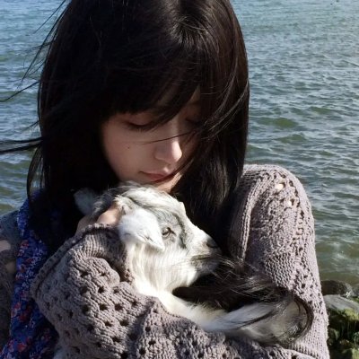 香岛美人窝