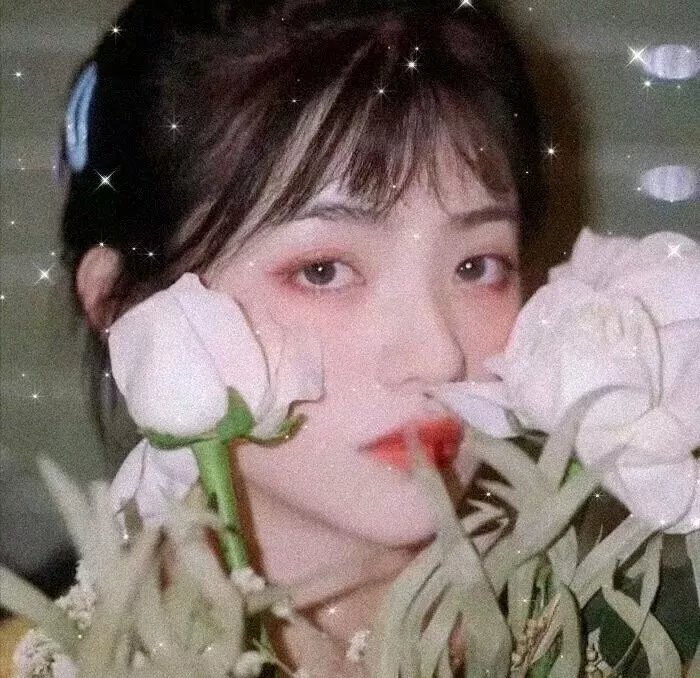 河曲马